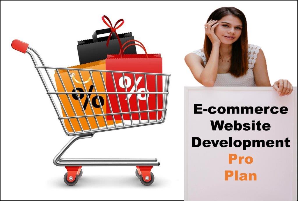 professional ecommerce website development agency in Trenton New Jersey