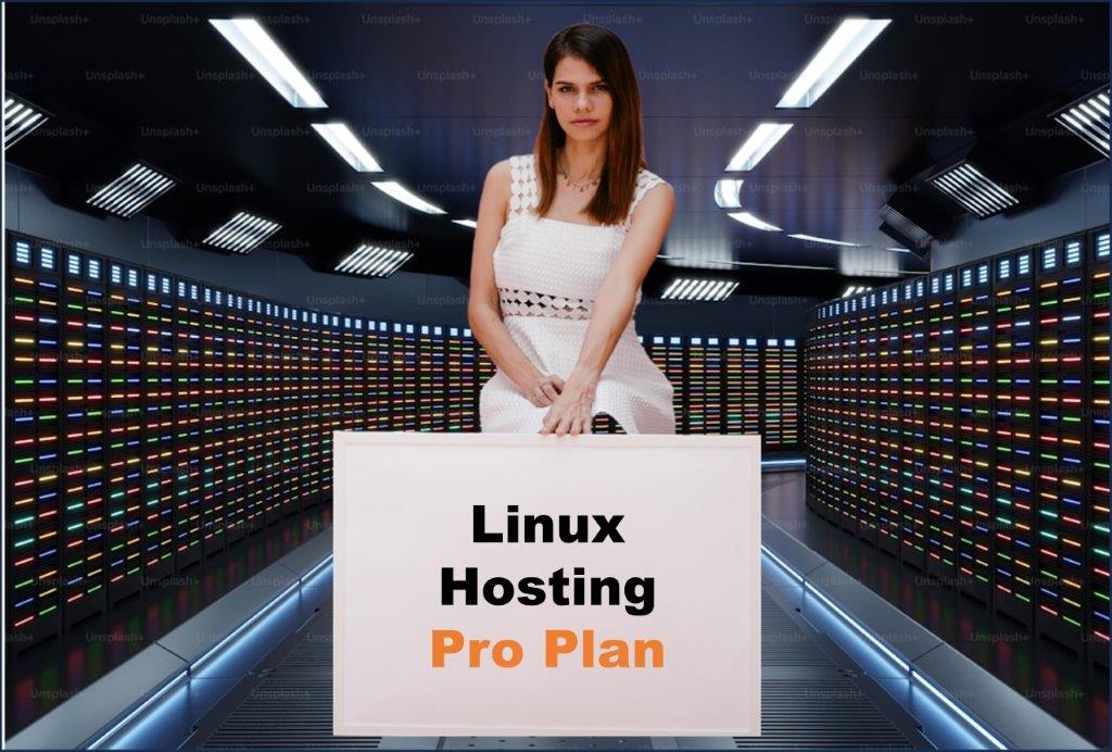 linux hosting windows hosting provider in Trenton New Jersey
