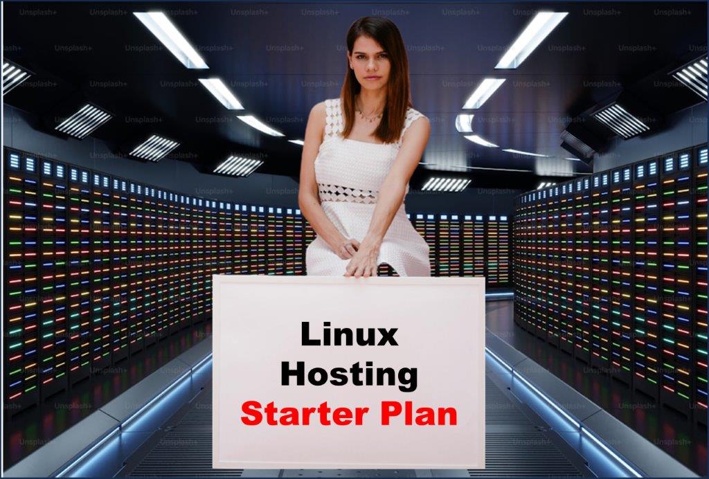 Website Hosting in Trenton New Jersey