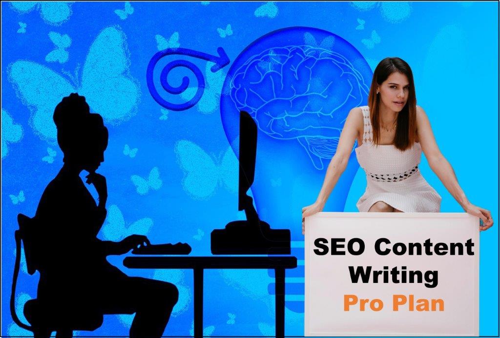 seo content writing agency Trenton New Jersey