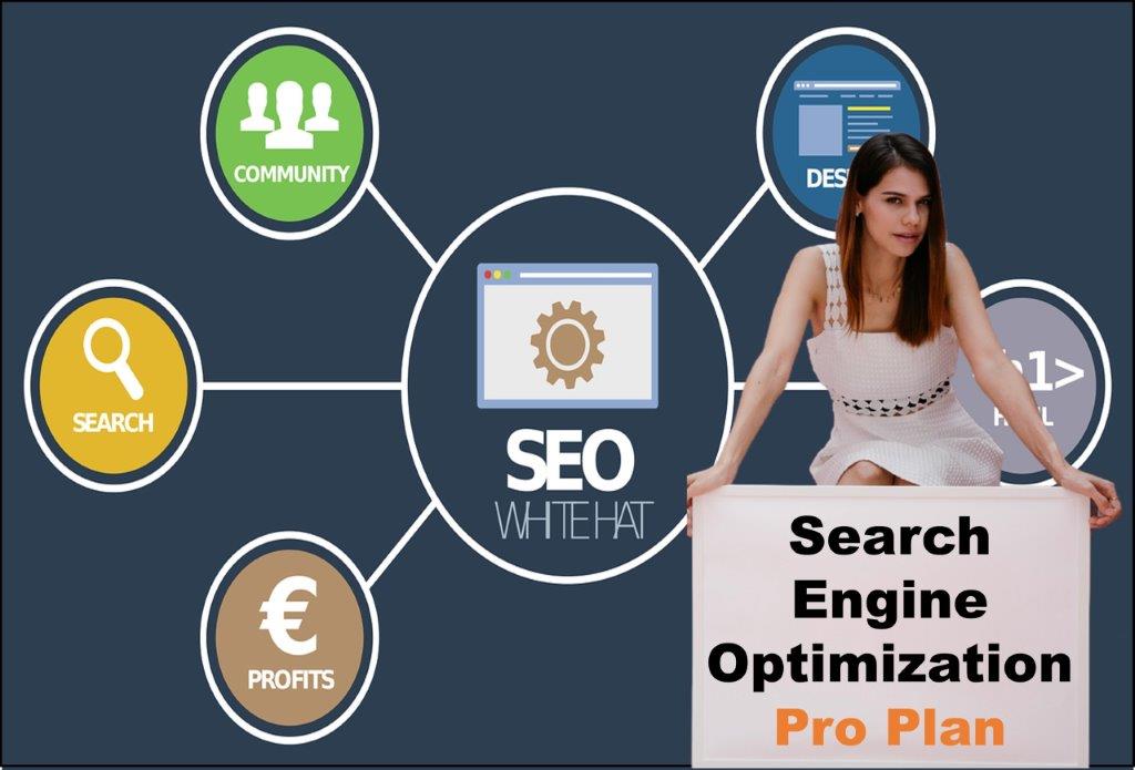 seo company Trenton New Jersey