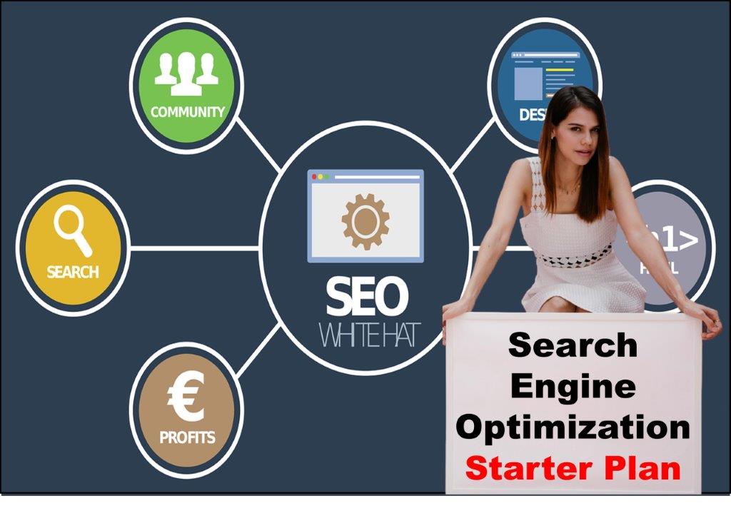 seo service provider in Trenton New Jersey