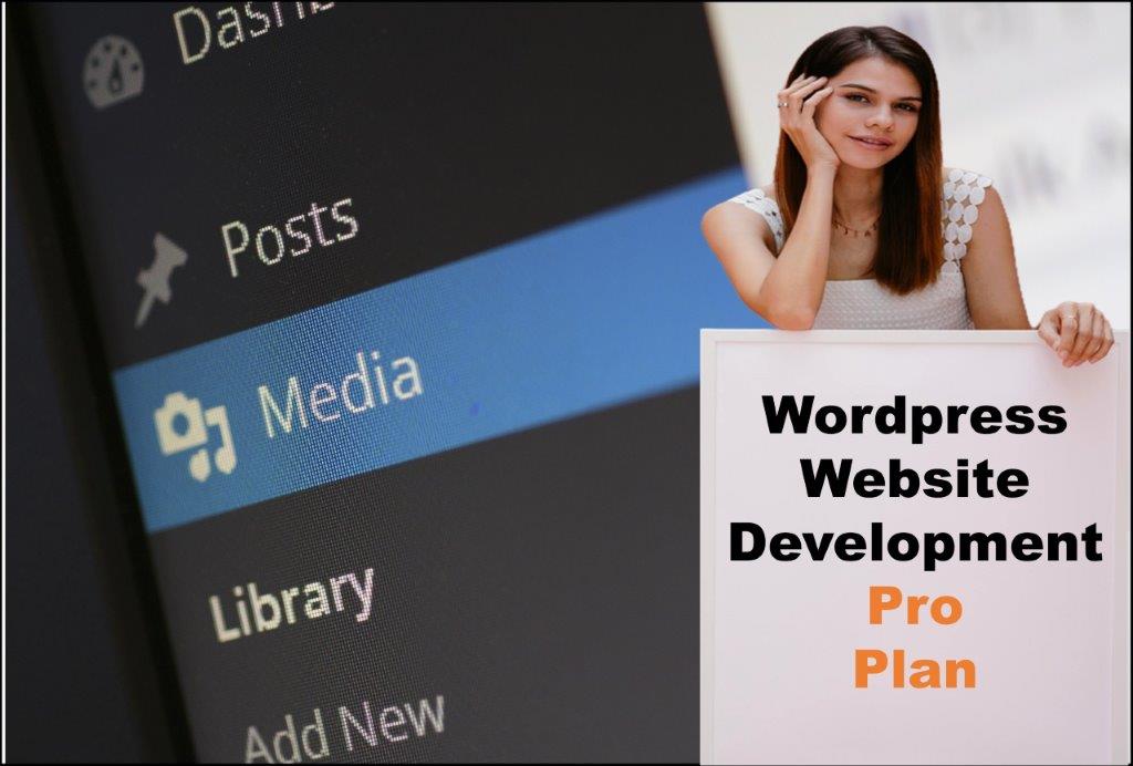 wordpress website designing in Trenton New Jersey
